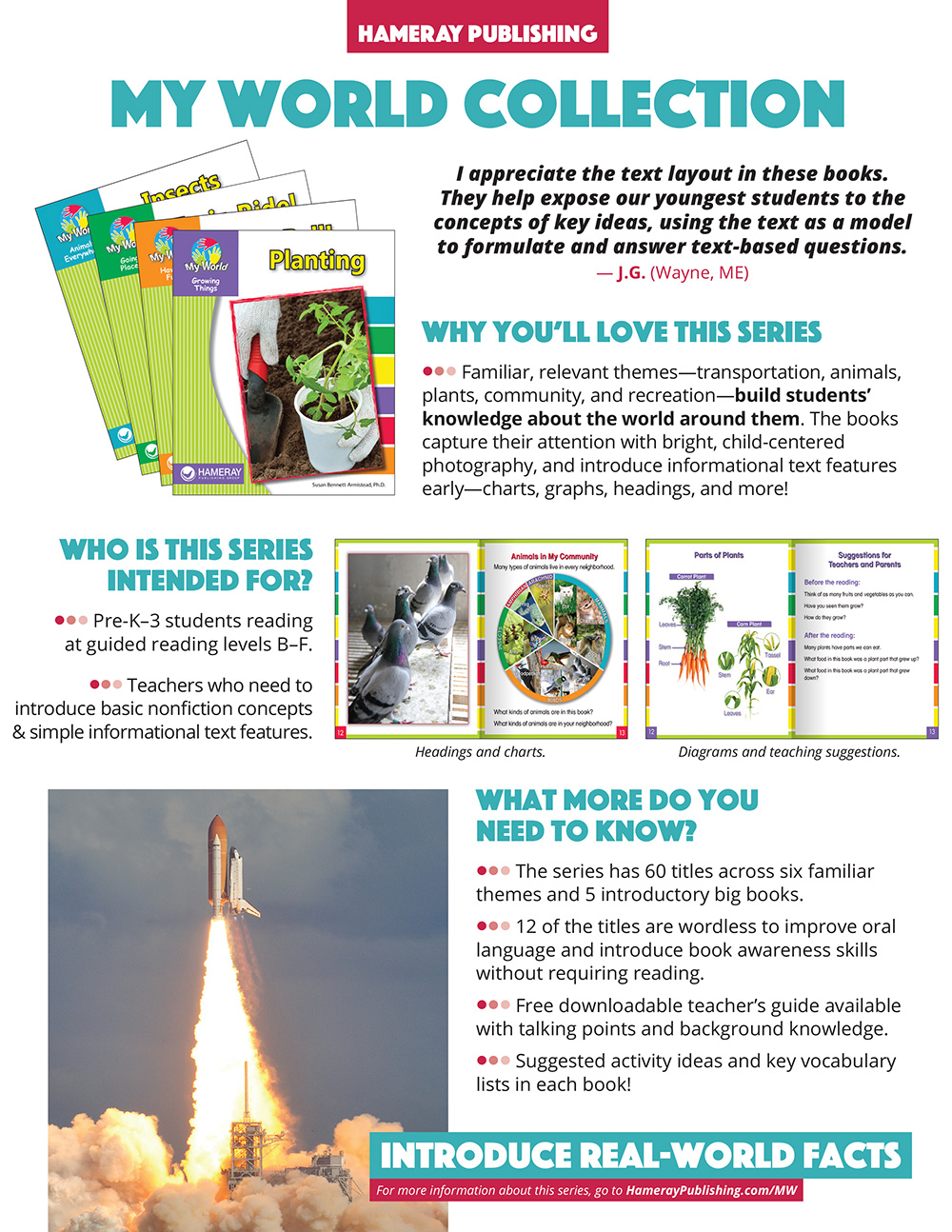 My World Series Snapshot